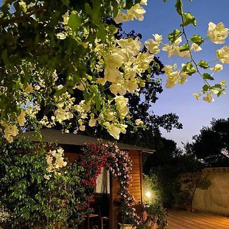 B&B Il Girasole Sant'Anna Arresi Luaran gambar