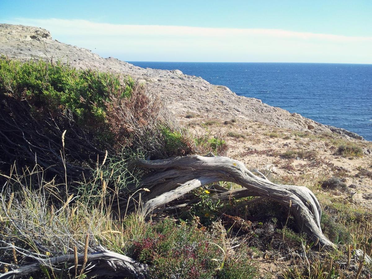 B&B Il Girasole Sant'Anna Arresi Luaran gambar