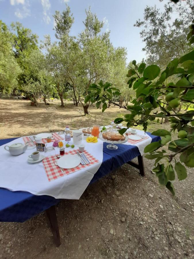 B&B Il Girasole Sant'Anna Arresi Luaran gambar