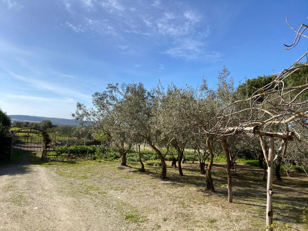 B&B Il Girasole Sant'Anna Arresi Luaran gambar