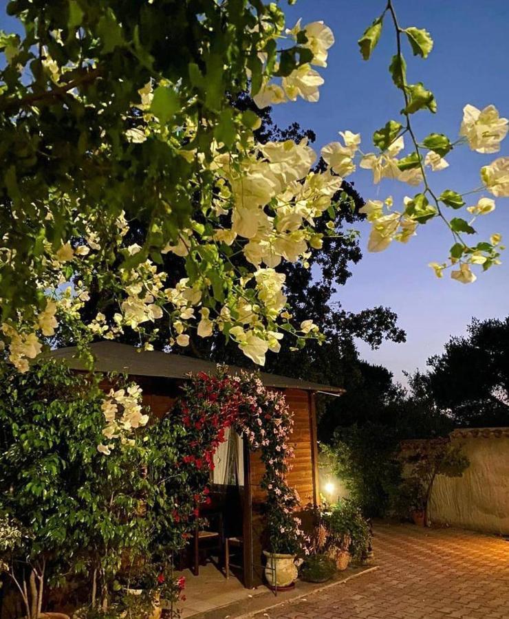 B&B Il Girasole Sant'Anna Arresi Luaran gambar