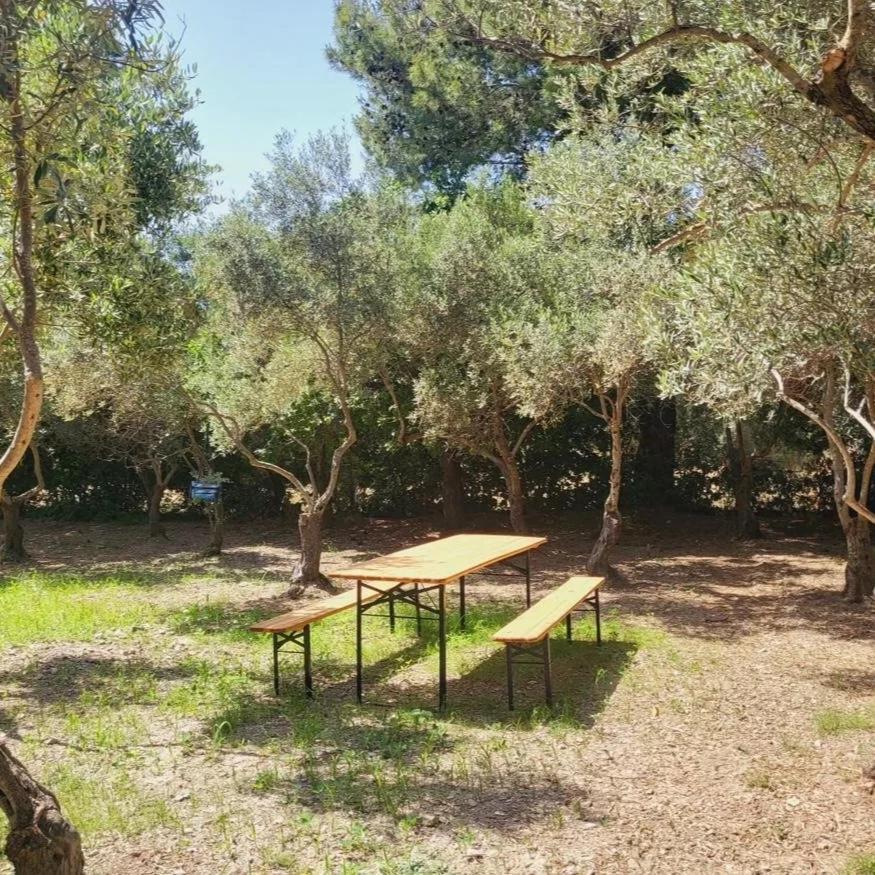 B&B Il Girasole Sant'Anna Arresi Luaran gambar